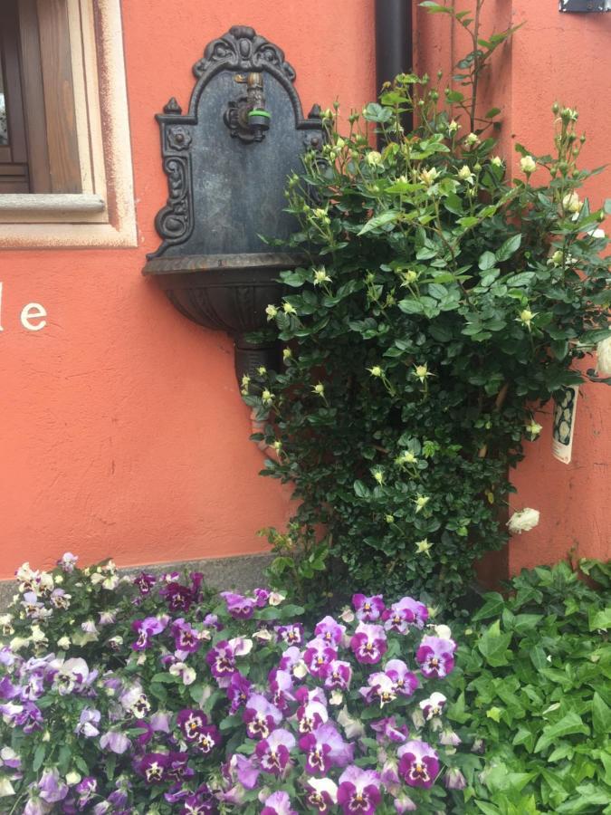B&B Gira-Sole Cuneo Exterior photo